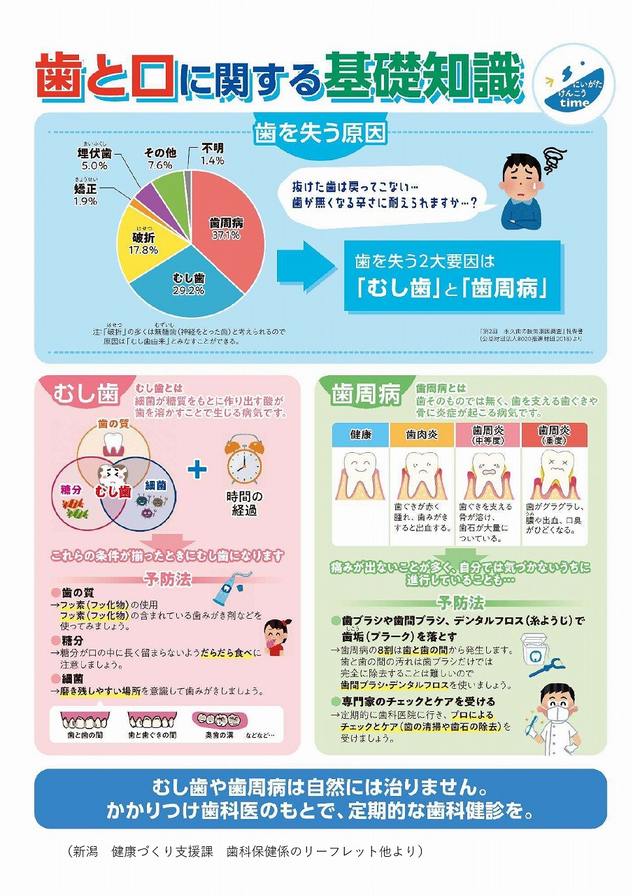 キャベツ通信2024.11 「良い歯の日」_page-0002